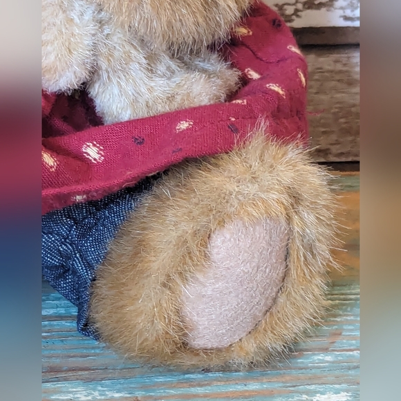 Rare Find Boyds Bears Elizabeth M Spangler Fall 2005 Cracker Barrel Plush - Picture 3 of 16